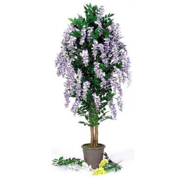 Glicinia decorativa MALENKA, troncos naturales, con flores, lila, 200 cm - Fabricada en Italia