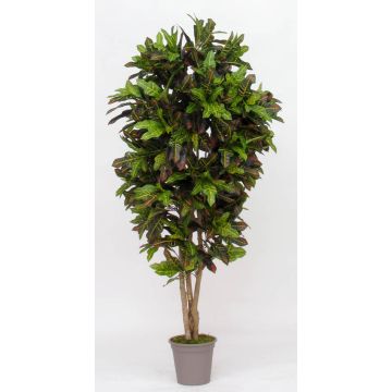Croton artificial KAJETANA, troncos naturales, multicolor, 125 cm - Fabricado en Italia