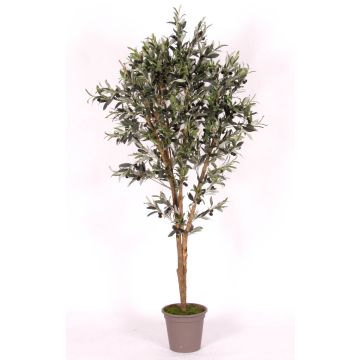 Olivo artificial MIANA, troncos naturales, con frutos, 100 cm - Fabricado en Italia