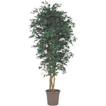 Arce japonés artificial KESCHA, troncos naturales, verde, 100 cm - Fabricado en Italia