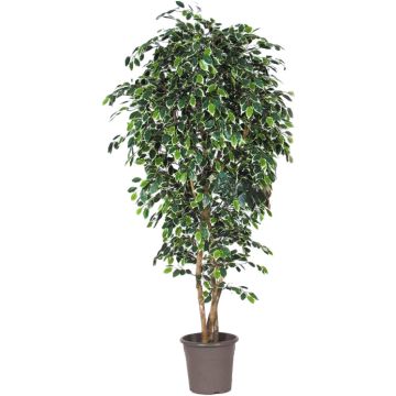 Higuera LUDGARDIS artificial, troncos naturales, verde-blanco, 125 cm - Fabricado en Italia