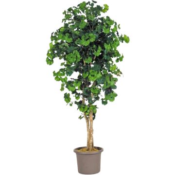 Ginkgo artificial LUDOWIKA, troncos reales, verde, 300 cm - Fabricado en Italia