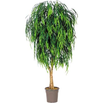 Sauce llorón artificial MORINO, troncos reales, verde, crossdoor, 225 cm - Fabricado en Italia