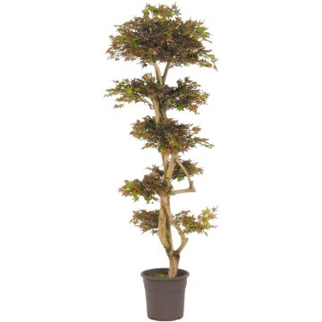 Árbol decorativo arce japonés SLAWIK, tronco real, verde-rojo, 185 cm - Fabricado en Italia