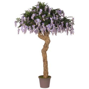Glicinia artificial ANSELMO, tronco real, con flores, blanco, 250 cm, Ø 180 cm - Fabricado en Italia