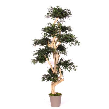 Árbol decorativo arce japonés SLAWIK, tronco real, verde, 150 cm - Fabricado en Italia