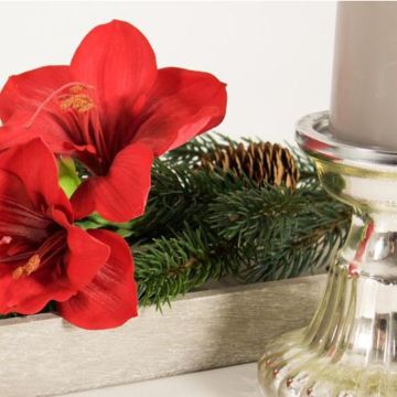 Un elegante comienzo del Adviento