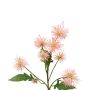 Rama decorativa de cardo GESKENDA, rosa-amarilla, 60 cm