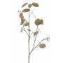 Rama decorativa Lunaria LOUDIAS, beige, 90 cm