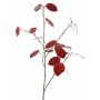 Rama decorativa Lunaria LOUDIAS, roja, 90 cm
