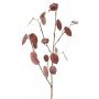 Rama decorativa Lunaria LOUDIAS, malva, 90 cm