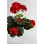Geranio artificial MIA con vara de fijación, rojo, 35cm, Ø6-9cm