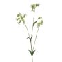 Rama artificial de silene PRANVERA con flores, blanco-verde, 80 cm