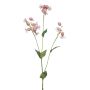 Rama artificial de silene PRANVERA con flores, rosa, 80 cm