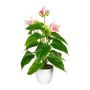 Flor artificial flamingo PLOVIR en maceta decorativa, raíces, rosa, 40 cm