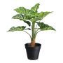 Planta decorativa Syngonium ZILHEN, maceta decorativa, verde, 45 cm