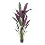 Planta artificial Heliconia SNALHE, verde-burdeos, 210 cm