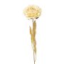 Flor decorativa peonía MASNOR, aspecto seco, crema, 65 cm