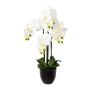Orquídea Phalaenopsis artificial UKERNA en maceta de resina, blanca, 70 cm