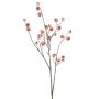 Rama decorativa Rosa silvestre FRAVON con escaramujos, rosa melocotón, 100 cm
