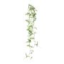 Colgador decorativo Tradescantia zebrina FROLHE, varilla, verde y blanco, 100 cm