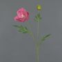 Amapola decorativa EDESSA, rosa oscuro, 80 cm