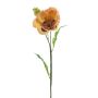 Amapola decorativa EDESSA, melocotón-naranja, 80 cm