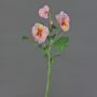 Rama decorativa de pensamientos SIANIE, rosa-rosa-amarillo, 35 cm, Ø 4-6 cm