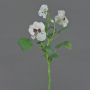 Rama decorativa de pensamientos SIANIE, blanca, 35 cm, Ø 4-6 cm