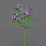 Rama decorativa de pensamientos SIANIE, violeta-blanca, 35 cm, Ø 4-6 cm
