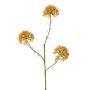Rama decorativa Allium ALIKIO, naranja, 65 cm, Ø 6,5 cm