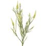 Rama decorativa de trébol artificial EUTIN con flores, blanco-verde, 80 cm