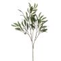 Rama de olivo artificial RIGELIO, 80 cm