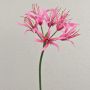 Flor artificial araña LUCHO, rosa, 70 cm
