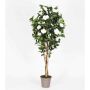 Camelia falsa JEMIMANE, troncos naturales, con flores, blanco, 175 cm - Fabricado en Italia