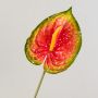 Anthurium artificial JASMINA, verde-rojo, 75cm, 14x18cm