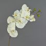 Tallo de Orquídea Phalaenopsis sintética RICKY, blanca, 105 cm