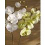 Tallo de Orquídea Phalaenopsis sintética RICKY, verde-crema, 105 cm