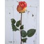 Rosa artificial OPHELIE, naranja-amarillo, 85cm, Ø7cm