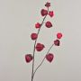 Rama de Physalis artificial MARCY, con frutos, rojo burdeos, 95cm