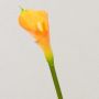 Cala artificial EVELINE, naranja, 70cm, 5x8cm