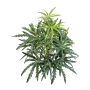 Aralia artificial PANGON en varilla, verde, 50 cm