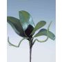Hojas artificiales de orquídea Phalaenopsis DORTE, raíces aéreas, 22x28cm
