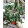 Corona de hiedra artificial GLADICE en maceta decorativa, verde, 40cm, Ø28cm