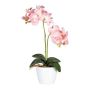 Flor decorativa Phalaenopsis FRUXO, varilla, raíces, rosa, 50 cm