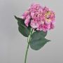 Hortensia falsa ANGELINA, fucsia-amarillo, 70cm, Ø23cm