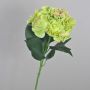 Hortensia falsa ANGELINA, crema-verde, 70cm, Ø23cm