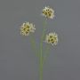 Rama de allium artificial ZEBU, crema, 65 cm, Ø 6 cm