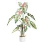 Planta decorativa Caladium GRUHON, maceta de melamina, verde-roja, 100 cm