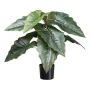 Planta artificial Colocasia ZORHEL, verde, 65 cm